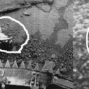 금성(아) 이미지