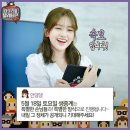 댕댕이연구소 이미지