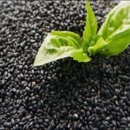 씨앗피트니스 이미지