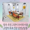 다올레이크프라자 | 양주 옥정 고양이 무마취 미용, 고양이 목욕 전문 달빛냥살롱
