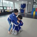 드림바디 유도클럽 월평관 이미지