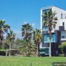 제주애견동반감성숙소 르페도라 이미지