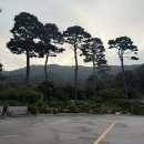 스카이벨리골프장화장실 | 여주 스카이밸리CC 라운딩 후기 여주 골프장 코스 분위기 좋았던 날