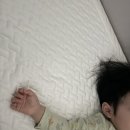 아엠 | 아기 냉감패드 추천 아엠지유 포르페 내돈내산 후기