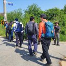 동서트레일 3차 (갯천골 정류장~백화산~흥주사) 이미지
