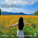 환경시설관리공사 달성사업소 이미지