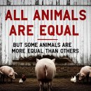 진보농장 이미지