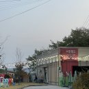 동백 숲속애견랜드 | [파주] 지글랜드 캠핑 바베큐 가을데이트 코스 애견동반 맛집