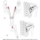 이즈메디의원 이미지