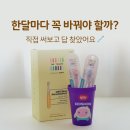 돌아기 칫솔 한달마다 교체해야 할까? 더트웰브 유아칫솔 2단계 솔직 후기 (파스텔)