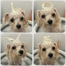 경고비 | 블로그 바르게 쓰기 경고 1