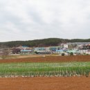 신리 다목적회관 이미지