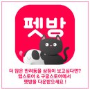 펫도그 애견스쿨 이미지