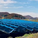 임진강목장 이미지