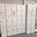 이쁜냥이 | 대전 둔산동 캣카페 낭만고양이 | 귀여운 냥이 천국 고양이 카페