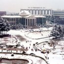 경북대학교 이미지