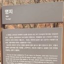 합자회사 동국관광 | 젊은 시절과 노년에 찾은 춘천청평사 차이점; 회전문 전각 중건, 문수원중수기비 복원, 대웅전 중창