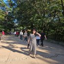 무진빌딩 | 속초가볼만한곳 설악산 속초맛집 이모네식당 화톳불 시장홍게 수정빌딩