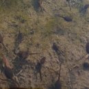 주석초등학교 이미지