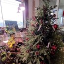 맘인더가든 이미지