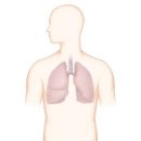 더채움 행정사사무소 이미지