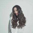 매거진－X 티스토리