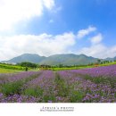 황산공원 캠핑장 3번 이미지