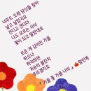 기분 전환 이미지