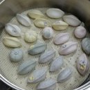 광명종합사회복지관1 이미지