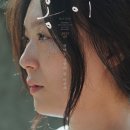 홍이 티스토리