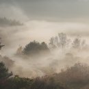 비밀의정원 - 강동구 천호대로170길 34 | 비밀의정원
