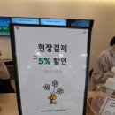 가든썸꽃식물작업실 | [제주여행4일차] 스누피가든① 실내전시, 야외전시 사진 백만 장 신나는 찐후기🌼