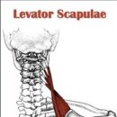 업투 평촌점 이미지