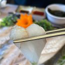 스타대게횟집 | [강원⭐속초] 속초 장사항 횟집 스타대게횟집 장사항 본점 방문 후기!