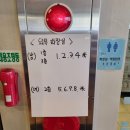 화곡로 | 이디야 화곡로점 떠먹는 고구마 케이크 후기와 추천 음료 생강차, 토피넛 라떼 카페인