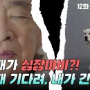 드라마 개소리 12회 하이라이트 이순재 기다려, 내가 간다 영상 이미지