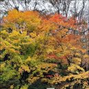 강천산군립공원 | (9번째)전북 순창 강천산 군립 공원 단풍 병풍폭포 구장군폭포
