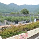 두곡농장 이미지