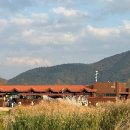 순천만습지 쉼터 화장실 이미지