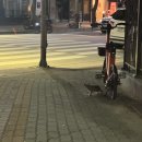 페리카나 송내점 이미지