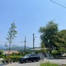 고창병원매점 | 충주호 캠핑) 청풍호반 오토캠핑장 D데크 후기 feat.반려견동반.