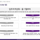 뉴펠리스