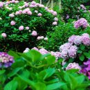 행복연장전 이미지