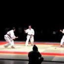 karate demo 이미지