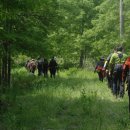 장흥 2리 이미지