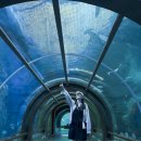 희망분수 | 푸꾸옥 가족여행 빈원더스 놀이기구 아쿠아리움 분수쇼 &amp; 그랜드월드 야경