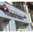 (버스)K-6구정문 이미지