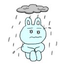 투브로우즈 이미지