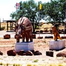 미국-Petrified Forest National Park 이미지