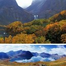 굿랜드공인중개사사무소 이미지